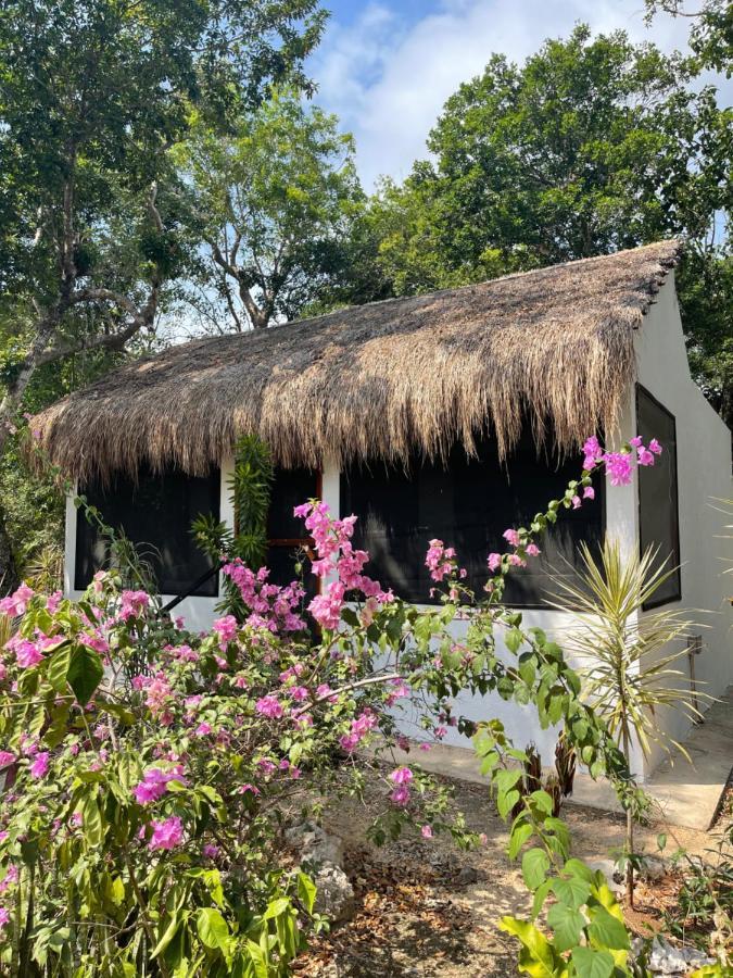 Hotel Maya Eco Village