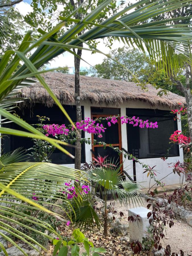 Maya Eco Village Hotel